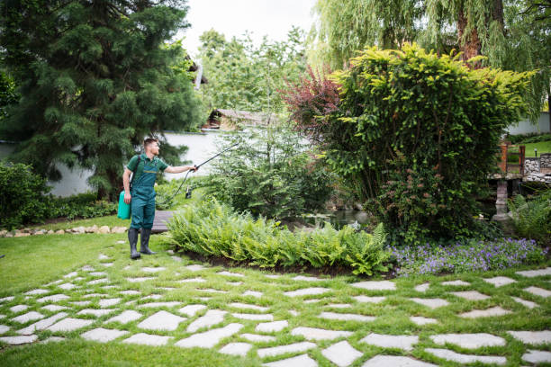 Best Lawn Maintenance Plans  in St Peter, WI
