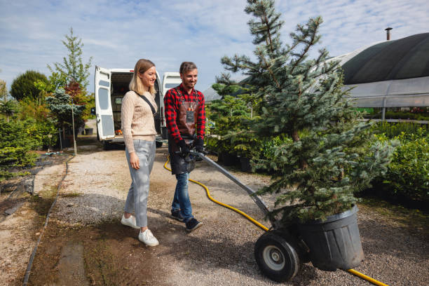 Best Lot and Land Clearing  in St Peter, WI